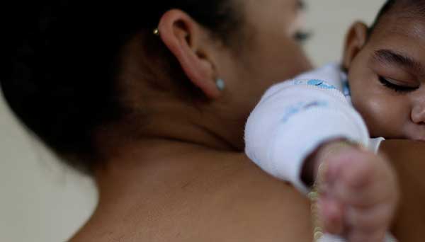 Fighting the Zika Virus